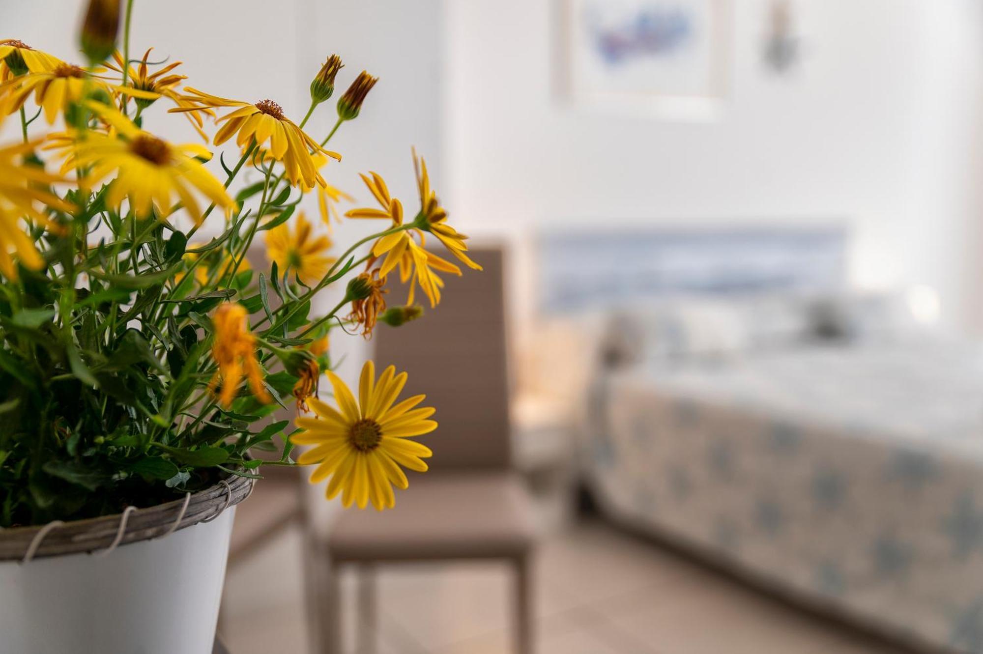 Horizon Bed & Breakfast Alghero Eksteriør bilde